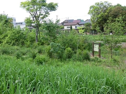 南沢水辺公園まで約1130m