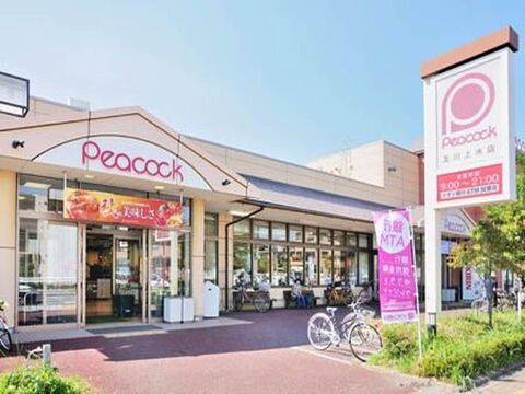 ピーコックストア 玉川上水店まで約603m