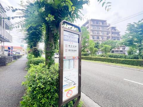 現地(2026年07月)撮影:通学しやすい立地に位置する住まいです。お子様の毎日の通学が負担になりにくく、家族みんなが暮らしやすい住環境が整っています。