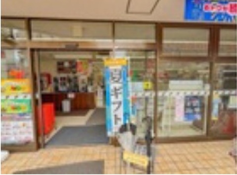 セブン-イレブン 昭島上川原2丁目店 521