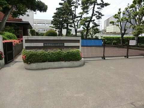 相模原市立小山中学校まで約1017m