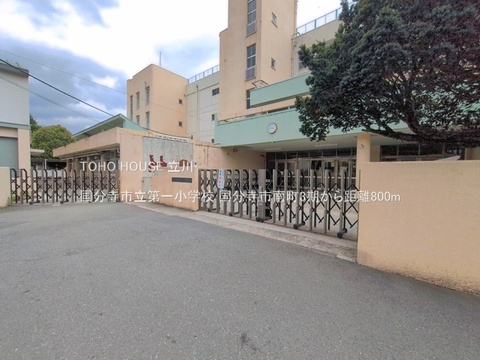 国分寺市立第一小学校 800m
