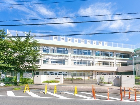 調布市立柏野小学校 310m