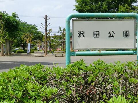 沢田公園まで約774m