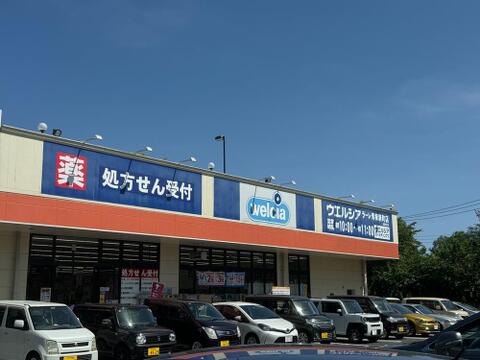 ウエルシアラーレ青梅新町店まで約316m