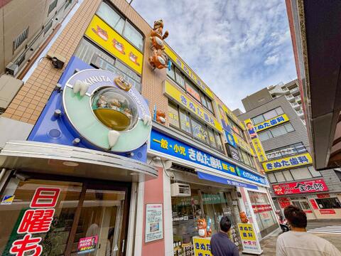 ダイエー 西八王子店まで約550m