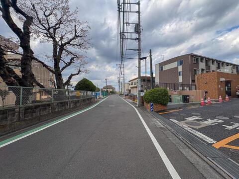 桜が咲き誇る、閑静な住宅街の通り。穏やかな環境は、お子様との安全な散歩や家族の団らんに最適です。
