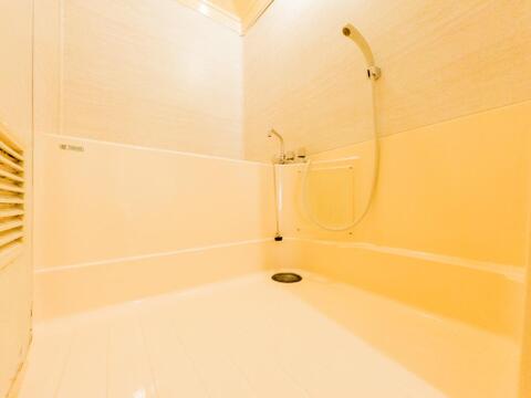 一日の疲れを癒してくれる場所ですので、空間自体も落ち着きのあるカラーで纏めて、全体的にゆったりとした雰囲気を演出しております。お子様と一緒に入浴頂ける十分な広さもございます。
