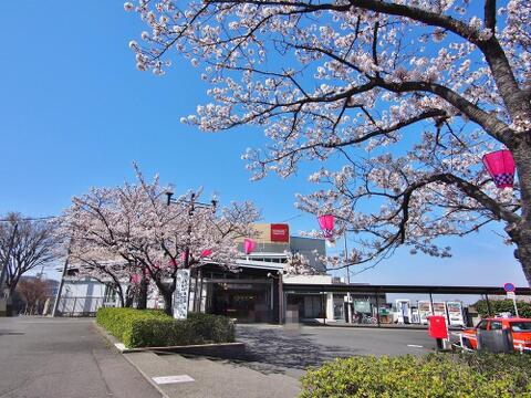 稲城駅まで約1569m