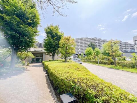 2026年6月5日撮影