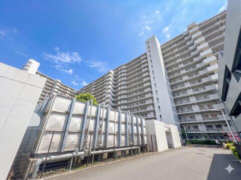 2026年6月5日撮影