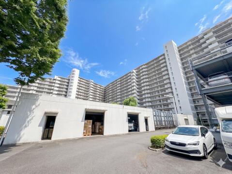 2026年6月5日撮影