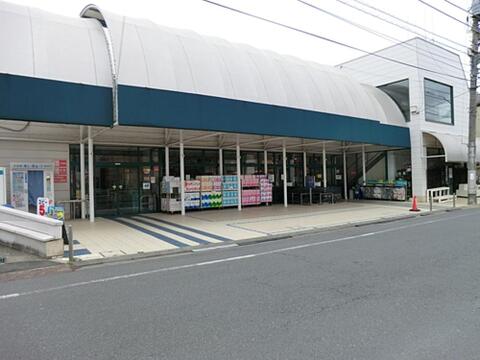 マルフジ東中神店まで約689m