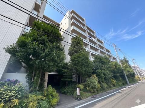 2026年6月5日撮影