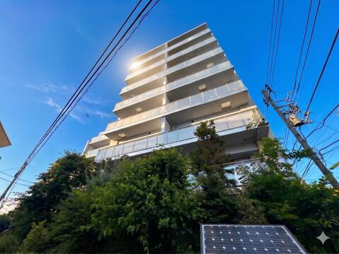 2026年6月5日撮影