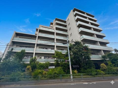 2026年6月5日撮影