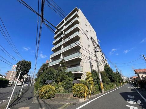 2026年6月5日撮影