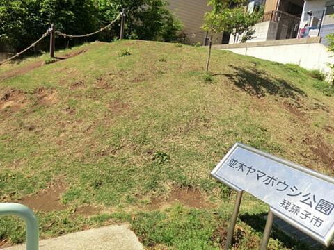 ヤマボウシ公園まで約137m