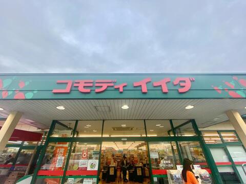 コモディイイダ永山店まで約1145m