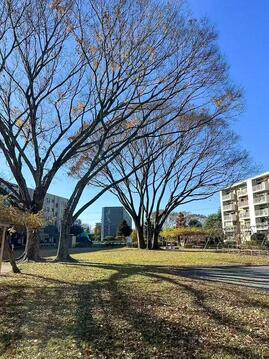 広大な敷地を誇ります。