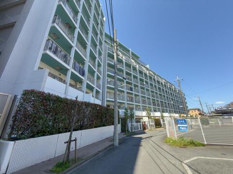 白を基調とした爽やかな外観。植栽も整い、管理状態の良さが感じられます。