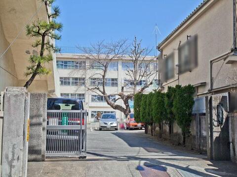 八王子市立第一小学校まで約511m