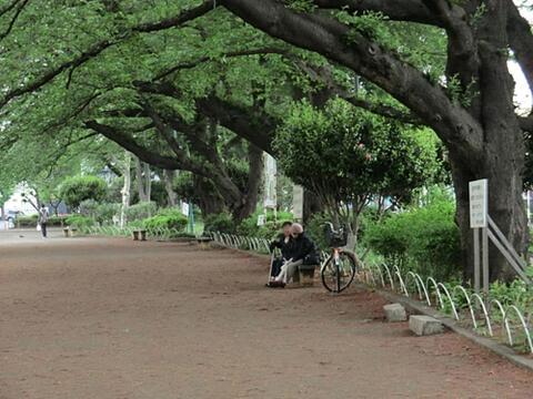 旭が丘中央公園まで約504m