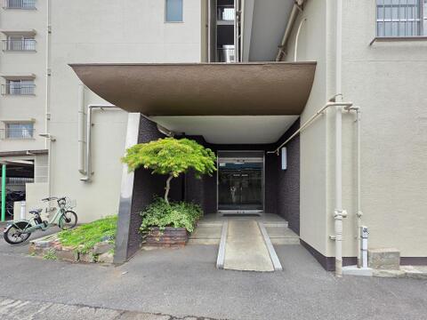 建物の入口には植栽を配したエントランスが設けられ、住まう方や来訪者を迎えます。階段に加えてスロープも設置されており、日々の出入りにも配慮された共用部です。落ち着いた雰囲気のアプローチです。