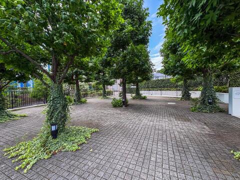 木々の緑が心地よい、広々とした共用スペース。お子様との散歩や、家族で自然を感じながらリラックスできる、穏やかな時間が流れる場所です。