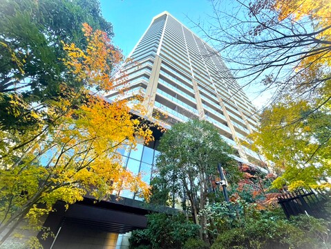 おしゃれな雰囲気で、街に新たな価値を齎し続けることでしょう。