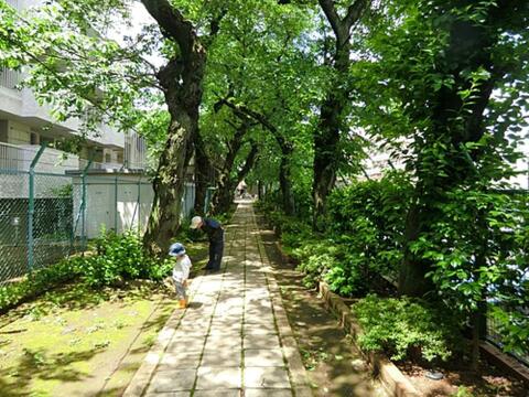 雷神山児童遊園まで約524m