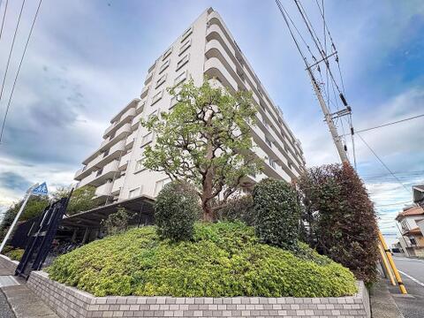 敷地内を彩る豊かで手入れの行き届いた植栽。四季の彩りを感じながら爽やかに暮らせる住まいです。