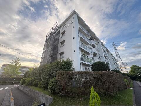 物件の陽当りや通風・仕様設備やお部屋の大きさの比較、近隣・周辺環境や街並みなど、掲載していない情報が現地にはたくさんあります。是非現地をご確認ください。