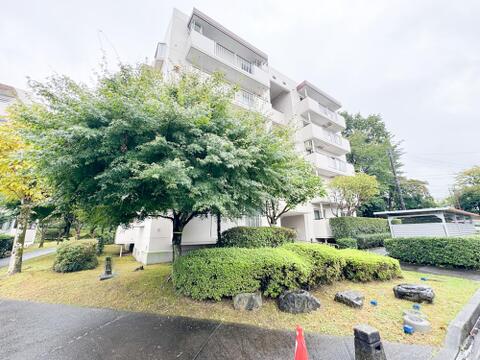11月リノベーション完工予定。ご見学は可能です。※リノベーション完了前に販売終了となる事が御座います。ご了承くださいませ