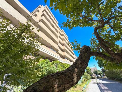 存在感のある外観が特徴のマンション。落ち着いたデザインとしっかりとした構造が安心感をもたらし、住まいとしての信頼性が感じられる美しい造りです。