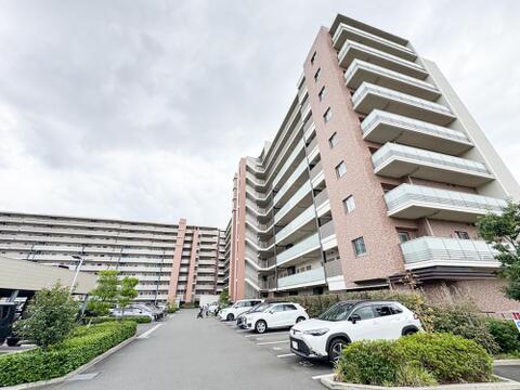 現地(2026年10月)撮影