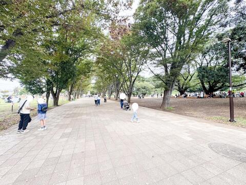 鶴間公園まで約700m