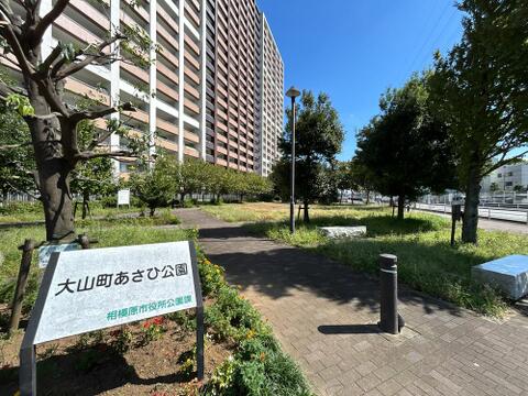 大山町あさひ公園まで約25m