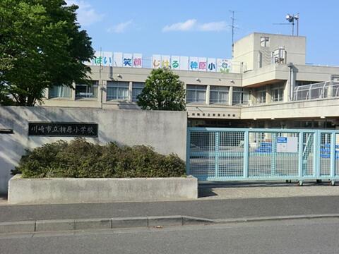川崎市立稗原小学校まで約1517m