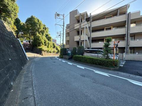 見通しの良い前面道路。緑豊かな穏やかな住環境が魅力的です。
