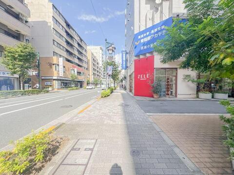 フラットで綺麗に整備された物件周辺の歩道環境。街灯や街路樹が配されており、夜間の帰宅時も明るく安心感のあるアプローチで毎日の通勤・通学も快適に行えます。