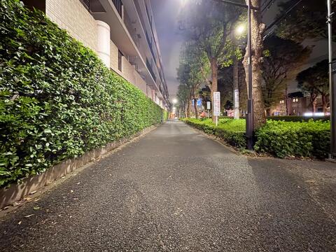 落ち着いた閑静な住宅街に位置する住まいです。静かで穏やかな環境が、毎日の生活に安らぎと快適さをもたらします。