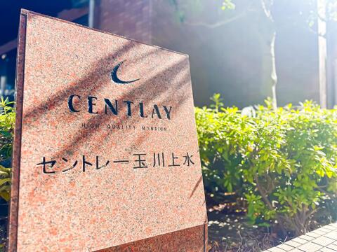 現地(2026年10月)撮影