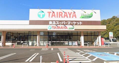 TAIRAYA小平店まで約786m