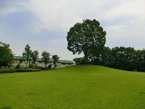 永山第四公園まで約175m