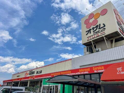 オザムバリュー野上店まで約470m