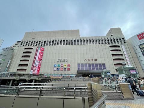 セレオ市場まで約260m