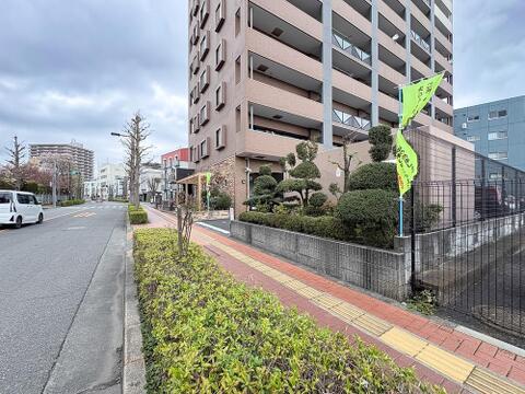 美しく整備された広い歩道。駅まで平坦な道のりで、小さなお子様連れでも安心の住環境です。