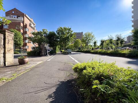 美しい並木が続く、開放的で明るい前面道路。緑に囲まれた閑静な住環境が魅力です。