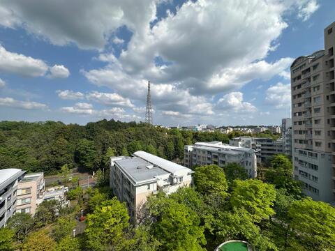 前面に視界を遮る建物が少なく、緑豊かな景色を一望。晴れた日には空の広がりも感じられ、開放感あふれる住環境です。